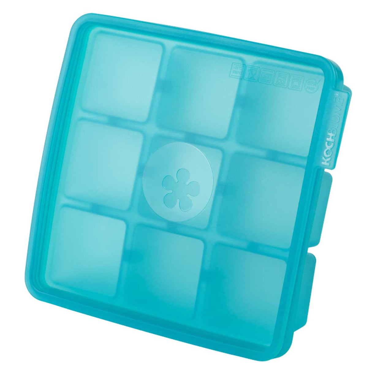 Eiswürfelform